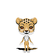 zoo03